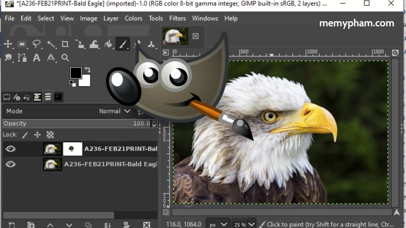 GIMP (GNU Image Manipulation Program)- Free Graphic Design Software